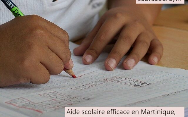 aide scolaire efficace en Martinique pourquoi choisir les cours d'Audrey